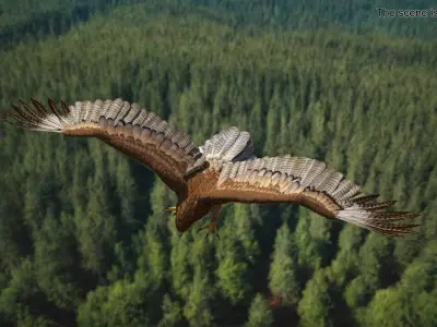 Realistic Gurney Eagle Rigged 3D model