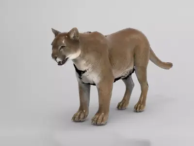 Cougar  - Rigged Low-poly 3D model