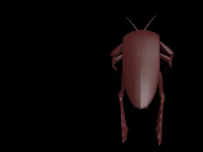 Insect cartoon Character Low-poly 3D model