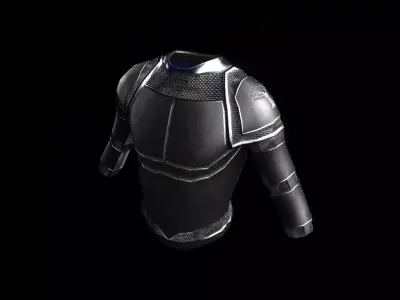 Platebody Low-poly 3D model