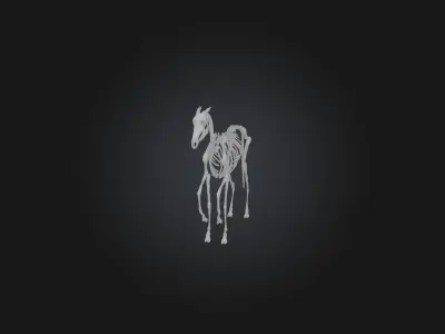 Realistic Horse Skeleton Model Low-poly 3D model
