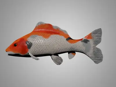 Koi Fish 3D model buy