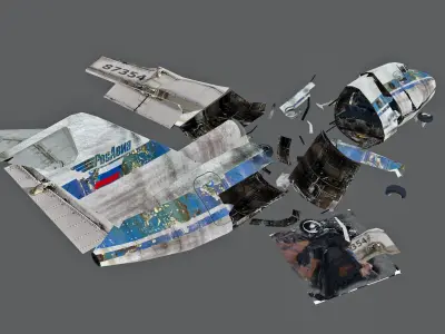 crashed Plane Low-poly 3D model buy