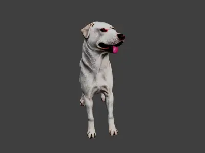 Dog Animal Low-poly 3D model order