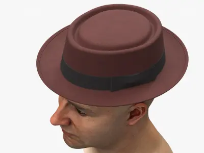 Pork Pie Hat Brown on Head 3D model