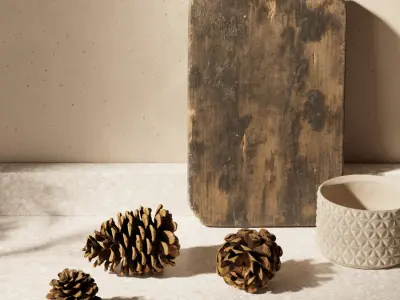  Pine Cones Model 