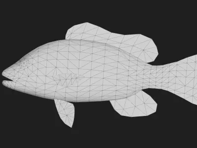 Snapper Low-poly 3D model 3