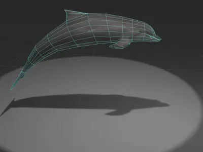 Dolphin with light shining Low-poly 3D model