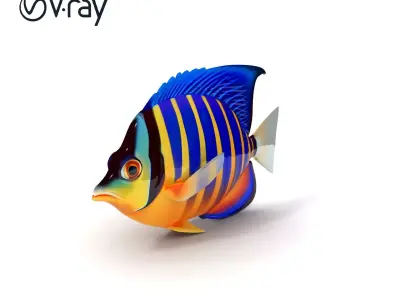 Colorful Tropical Fish Model Pack Low-poly 3D model