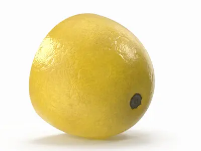  Lemon Slice 