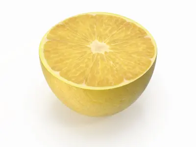  Lemon Slice(1)  purchase