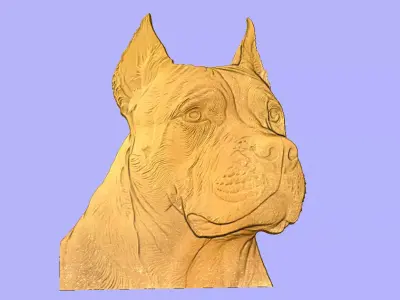 PITBULL 3D model