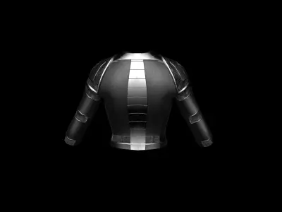 Platebody Low-poly 3D model