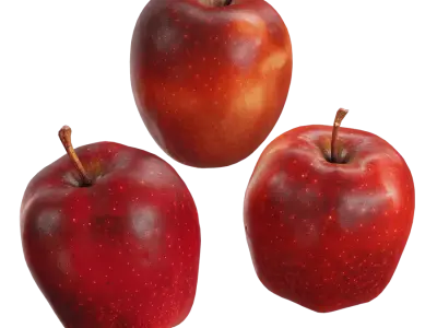  Red Delicious Apple Model 