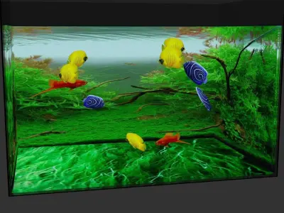 aquarium with fish in it Low-poly 3D model