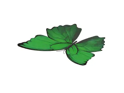 Butterfly v1 004 Low-poly 3D model