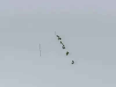 Trees on the Port Part 02 Free 3D model