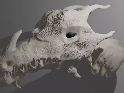 Dragon Head Free 3D model buy