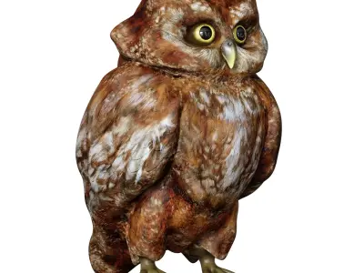The Owl Bird 3D model