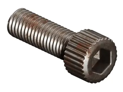 Rusty Steel Socket Bolt 3D model