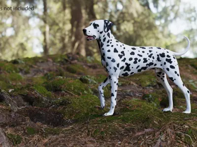 Spotted Dalmatian Dog Rigged for Maya 3D model