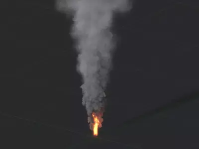 3D Big Fire Animation 3D model