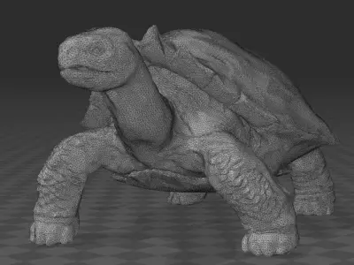Carbonemys tortoise 3D print model