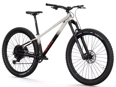 MTB hardtail in white black  Low-poly 3D model