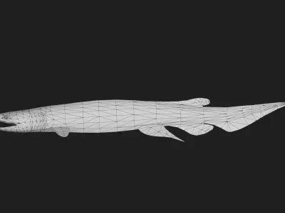 Shark Low-poly 3D model 42