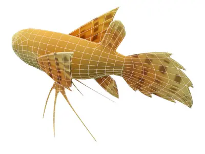 Pantodon Buchholzi fish Animated Low-poly 3D model