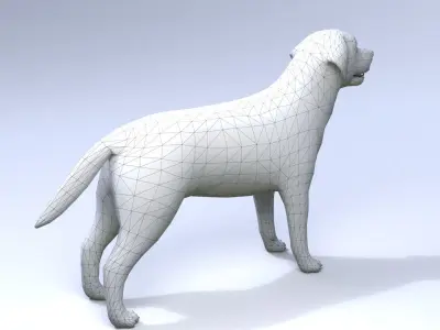 Labrador retriever Low-poly 3D model purchase