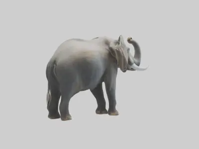 Elephant trumpeting model Low-poly 3D model