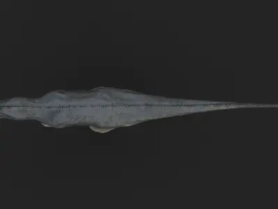 Allosaurus t - rex Low-poly 3D model