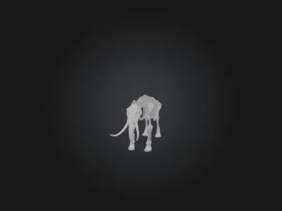 Realistic Elephant Skeleton Model Low-poly 3D model
