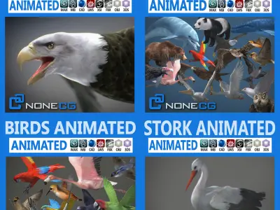 Penguin 3D model buy