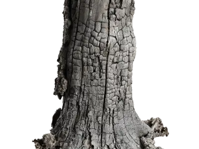  Tall Burned Cut Deciduous Stump Model 