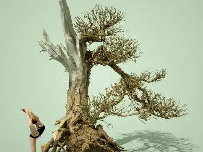Stylised Dead Tree Collection 3D model