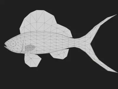 Serranidae Low-poly 3D model purchase