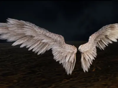 Angel Wings Low-poly 3D model purchase