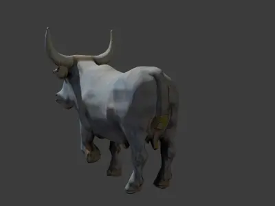 pakistani rajistan long horn white bull 3d model Free low-poly 3D model