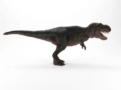 TIRANOSAURUS REX 3D model