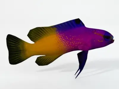 Gramma loreto Low-poly 3D model