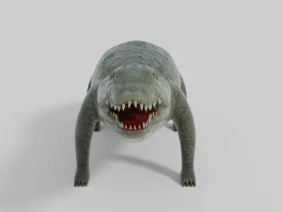 3D Crocodile Model toy alligator Low-poly 3D model
