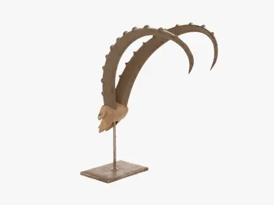Animal antelope skull statuette Free 3D model