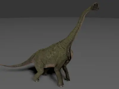 Brachiosaurus Dinosaur Low-poly 3D model 4