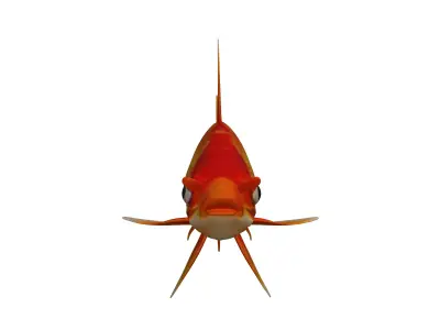 Goldfish 3D ModelLow Pol PBR TexturedGame Ready  Low-poly 3D model