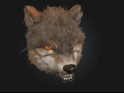 Ferocious Wolf Face  Intense Animal Bust Model for Fantasy 3D model