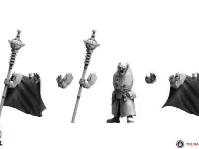 Universal Guard - Psyker 3D print model