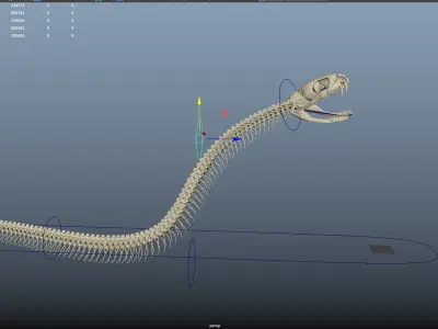  Snake skeleton rigged 