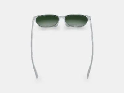 Esme Low Bridge Fit Sunglasses in Crystal 3D model